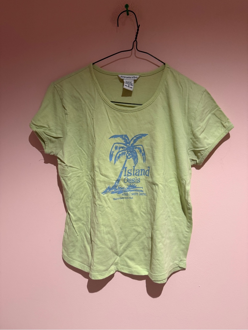 Vintage 90s Abercrombie & Fitch Light Green 'Island Oasis' Graphic Tee
